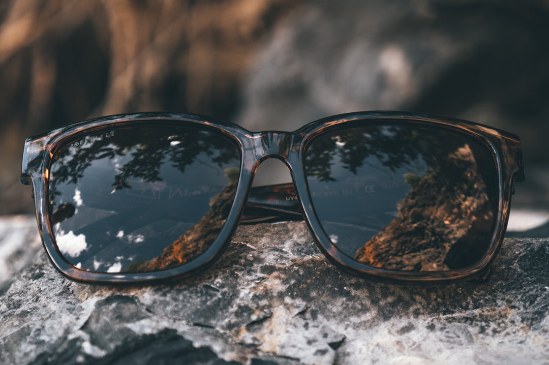 Heat Wave Visual Apollo Sunglasses with tortoise brown frame and black lenses.